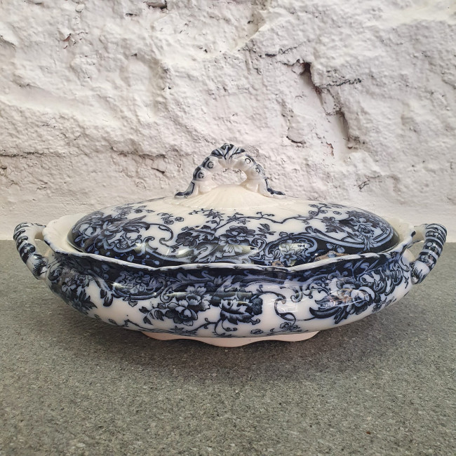 Legumiera bianca e blu...