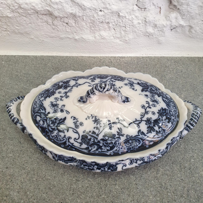 Legumiera bianca e blu...