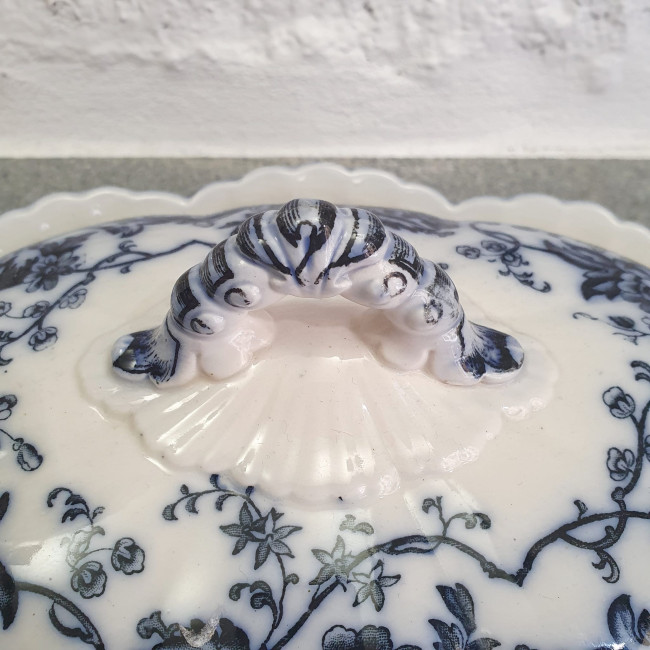 Legumiera bianca e blu...