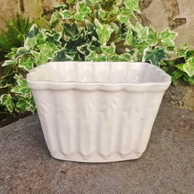 Stampo da budino o gelatina...