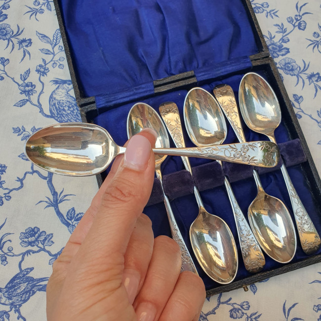 Set da 6 cucchiaini da tè...