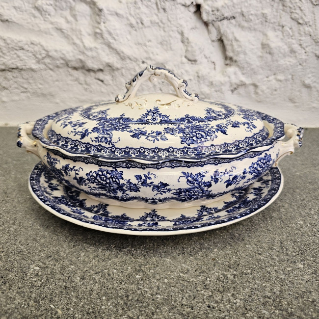 Legumiera inglese con...