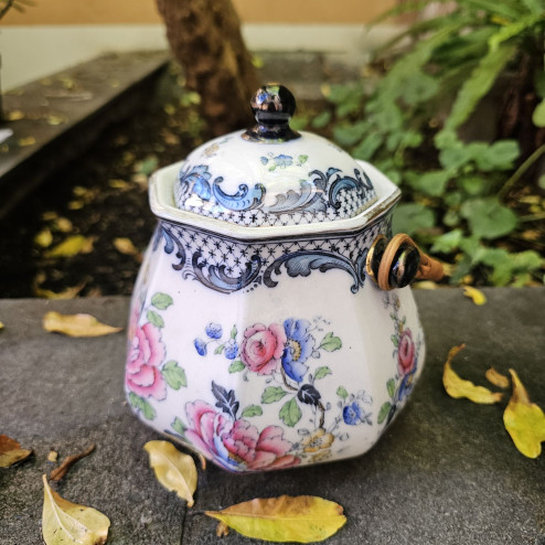 Biscottiera Losol Ware...