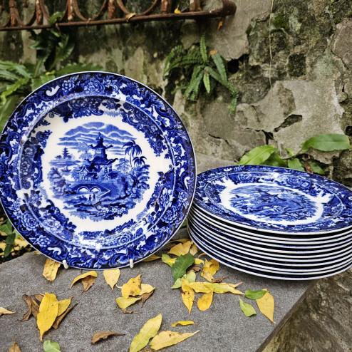 Piatto piano Wedgwood...