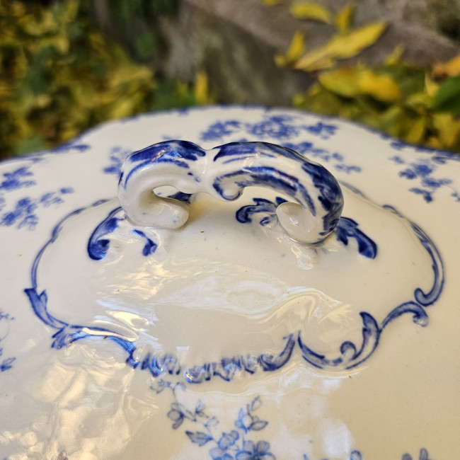 Legumiera con coperchio e...