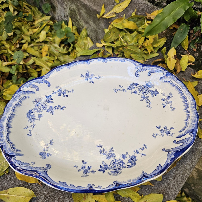 Legumiera con coperchio e...