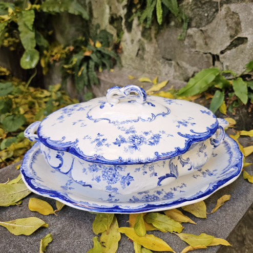 Legumiera con coperchio e...