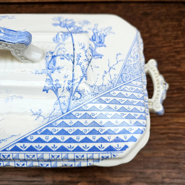 Legumiera inglese in...