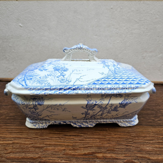 Legumiera inglese in...