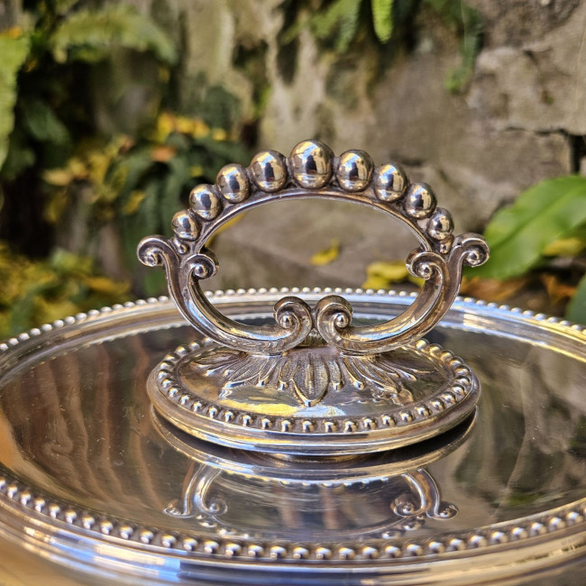 Legumiera ovale inglese in...