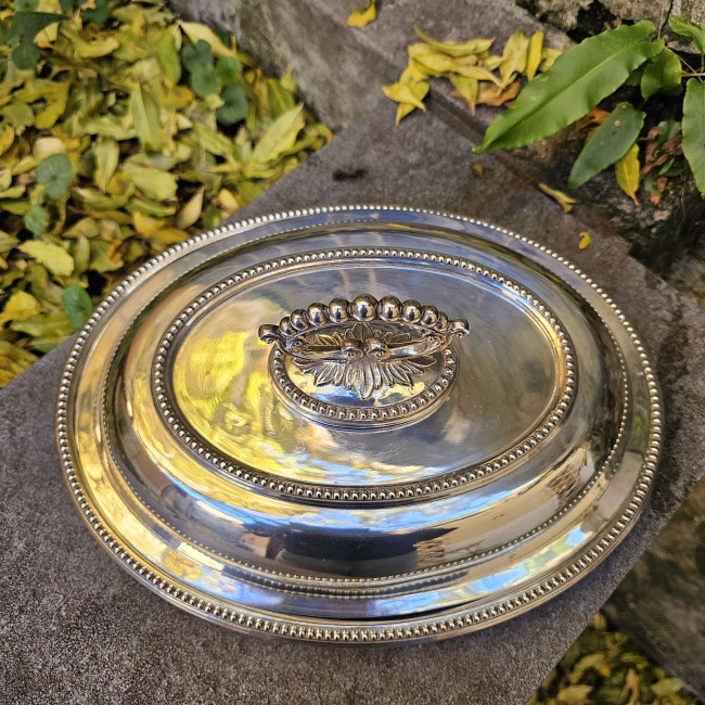 Legumiera ovale inglese in...