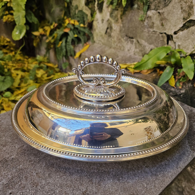 Legumiera ovale inglese in...