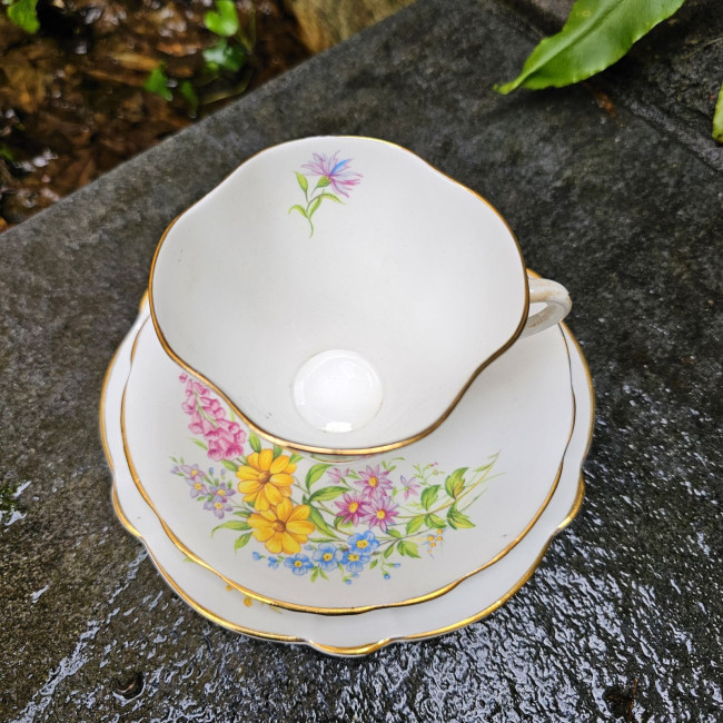 Tazza Vintage Windsor Bone...