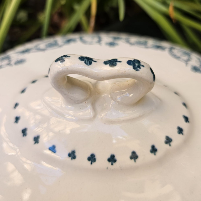 Legumiera inglese S.W. Dean...