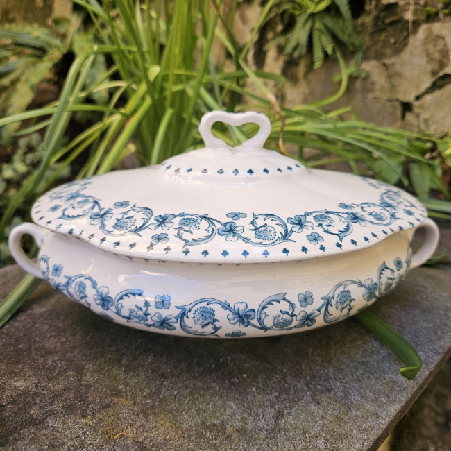 Legumiera inglese S.W. Dean...