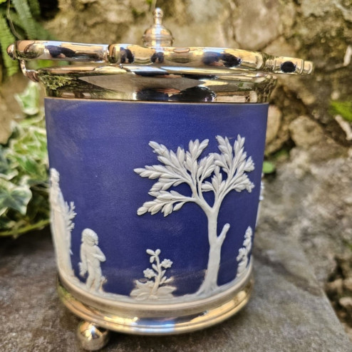 Porta biscotti inglese...