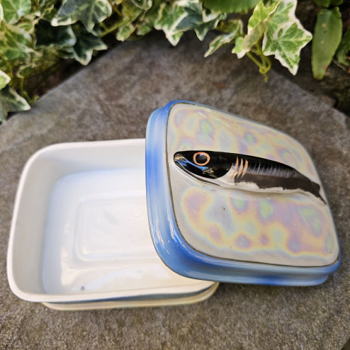 Scatola porta sardine...