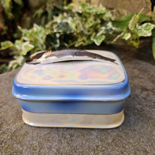 Scatola porta sardine...