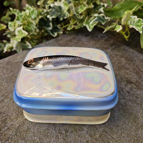 Scatola porta sardine...