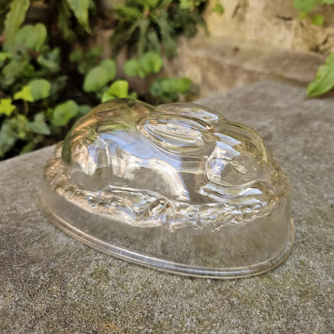 Jelly mould a coniglietto...