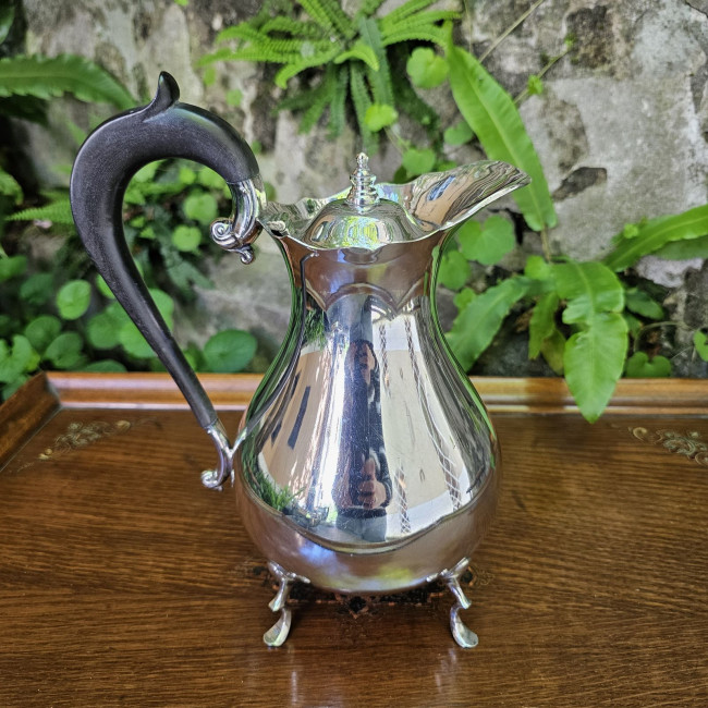 Brocca inglese per acqua...