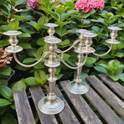 Coppia di candelieri...