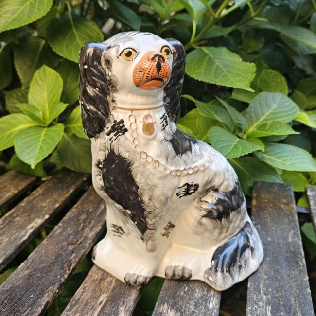 Cane Staffordshire in...