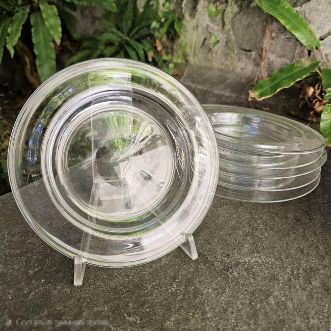 Set di 6 Ice Plates...