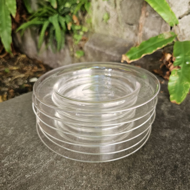 Set di 6 Ice Plates...