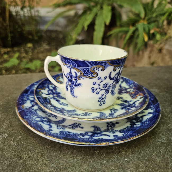 Tazza vittoriana bianca e...