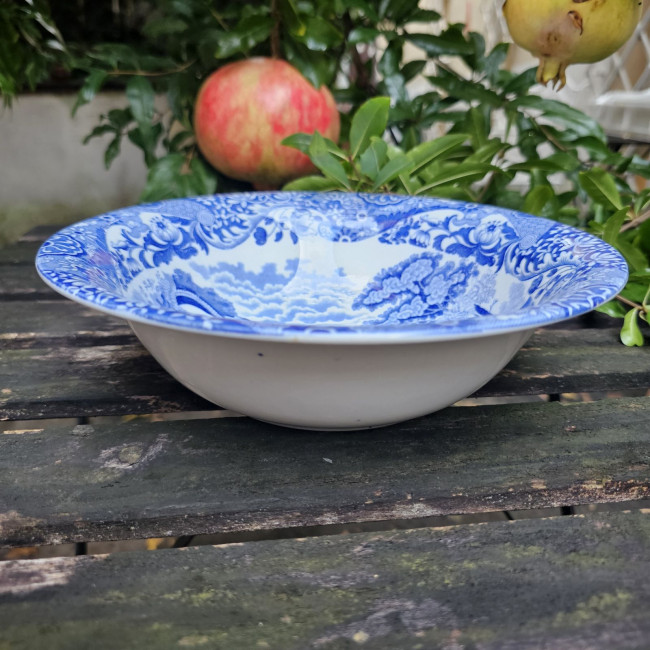 Coppa Copeland Spode Blue...