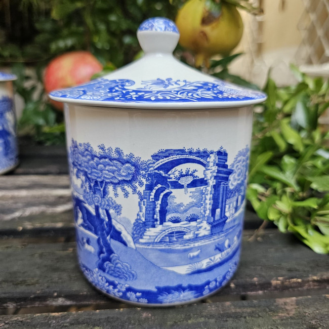 Barattolo da tè Spode Blue...